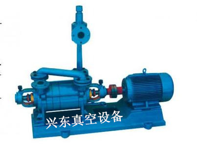 2SK-P1系列兩級水環(huán)真空泵