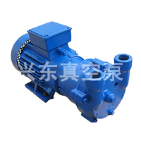 2BV系列液環(huán)式真空