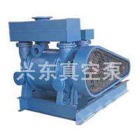 水環(huán)真空泵