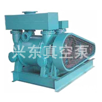 2BE1系列水環(huán)真空泵