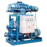 JZJ2s羅茨水環(huán)真空