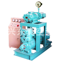 JZJ2s羅茨水環(huán)真空