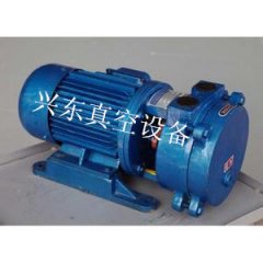 SK直聯(lián)水環(huán)式真空