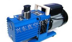 雙極直聯(lián)旋片真空