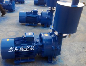 水循環(huán)真空泵 打樁機配套